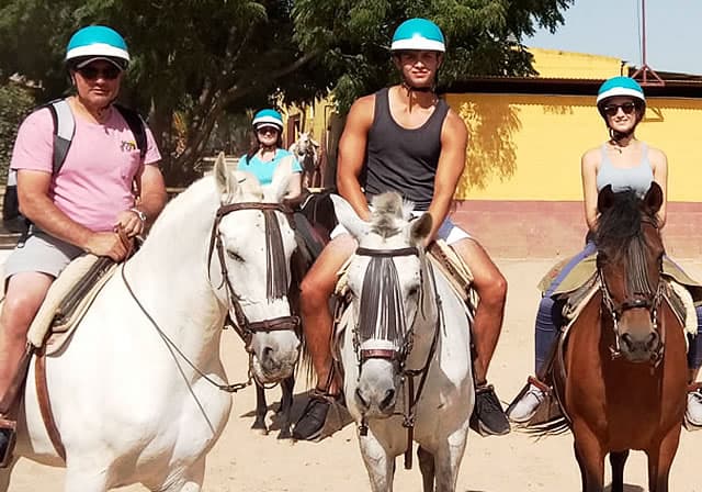 Caballos En Sevilla